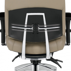 Triumph Chairs Feature - Adjustable Lumbar Support