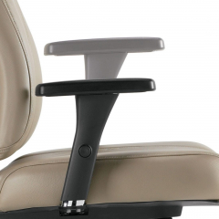 Triumph Chairs Feature - Arm Height