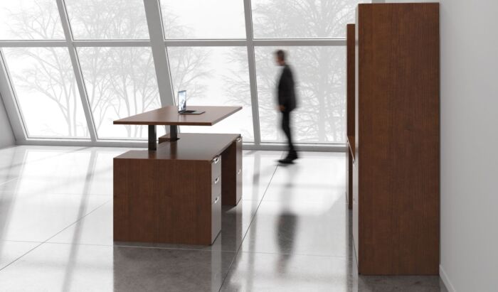 Modern Sit Stand Desk